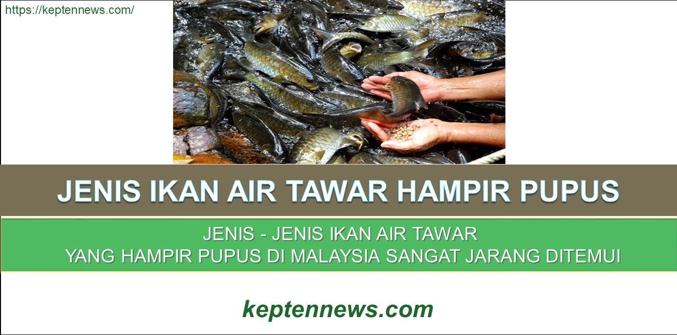 Ikan Air Tawar Yang Hampir Pupus Di Malaysia